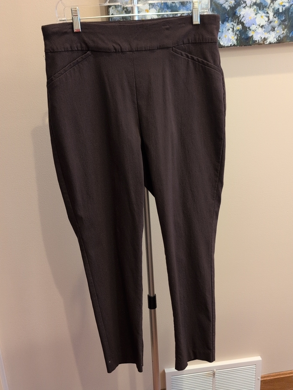 Chico's Women's Pull-On Ankle Pants in Dark Brown